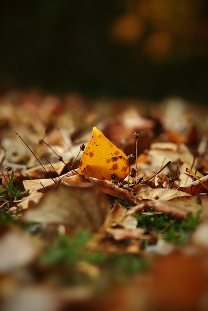 置也频频登 置也频频登