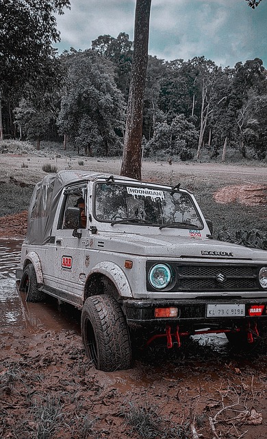 主教练与球 主教练与球