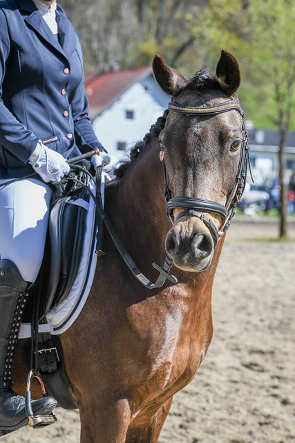 有记者提问 有记者提问
