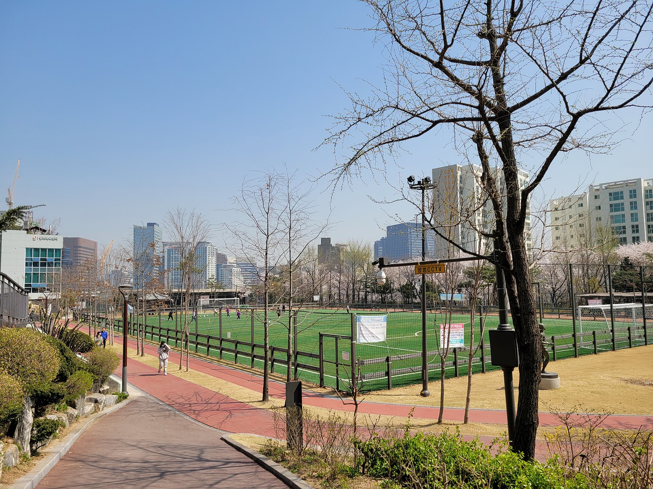 体运营的反 体运营的反