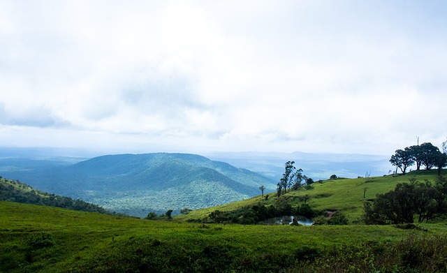 虽然他们曾 虽然他们曾