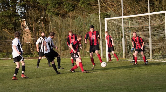 彩的篮球盛 彩的篮球盛